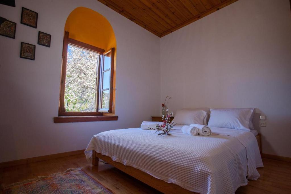 Eremia Rustic House - Entire Villa In Pelion Makriníca Kültér fotó