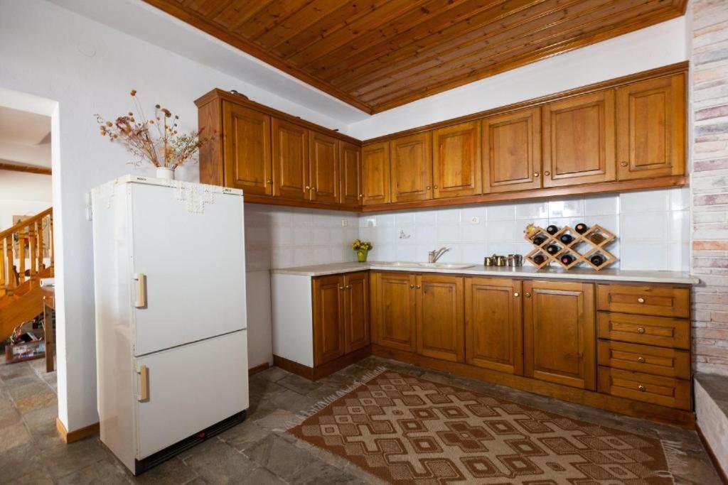 Eremia Rustic House - Entire Villa In Pelion Makriníca Kültér fotó