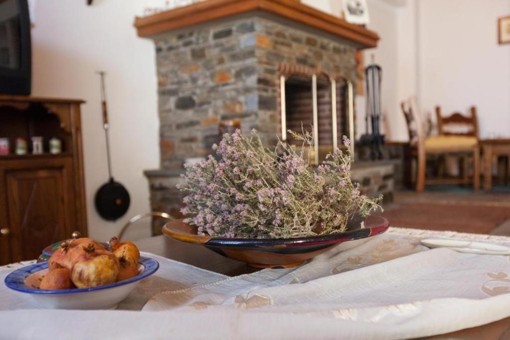 Eremia Rustic House - Entire Villa In Pelion Makriníca Kültér fotó