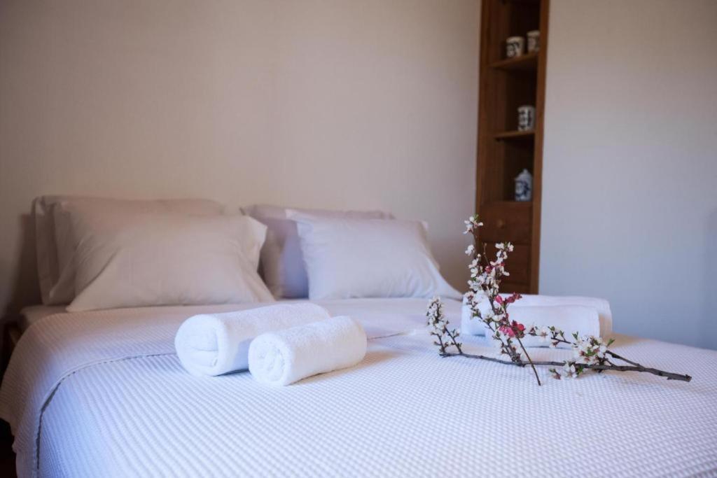 Eremia Rustic House - Entire Villa In Pelion Makriníca Kültér fotó